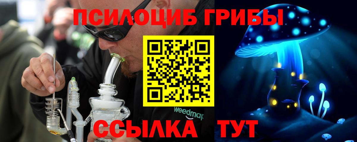 Псилоцибиновые грибы GOLDEN TEACHER  Вход с VPN  Сосновый Бор 